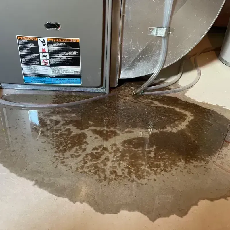 Appliance Leak Cleanup in Grafton, WI